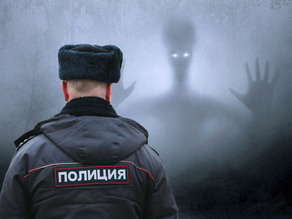 Коллаж/"Фонтанка"/pixabay.com//kellepics/Роман Пименов/Интерпресс